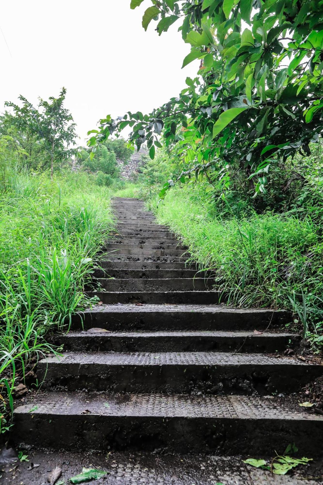 Misty Green Hills Parks & Resorts Kondotty Buitenkant foto