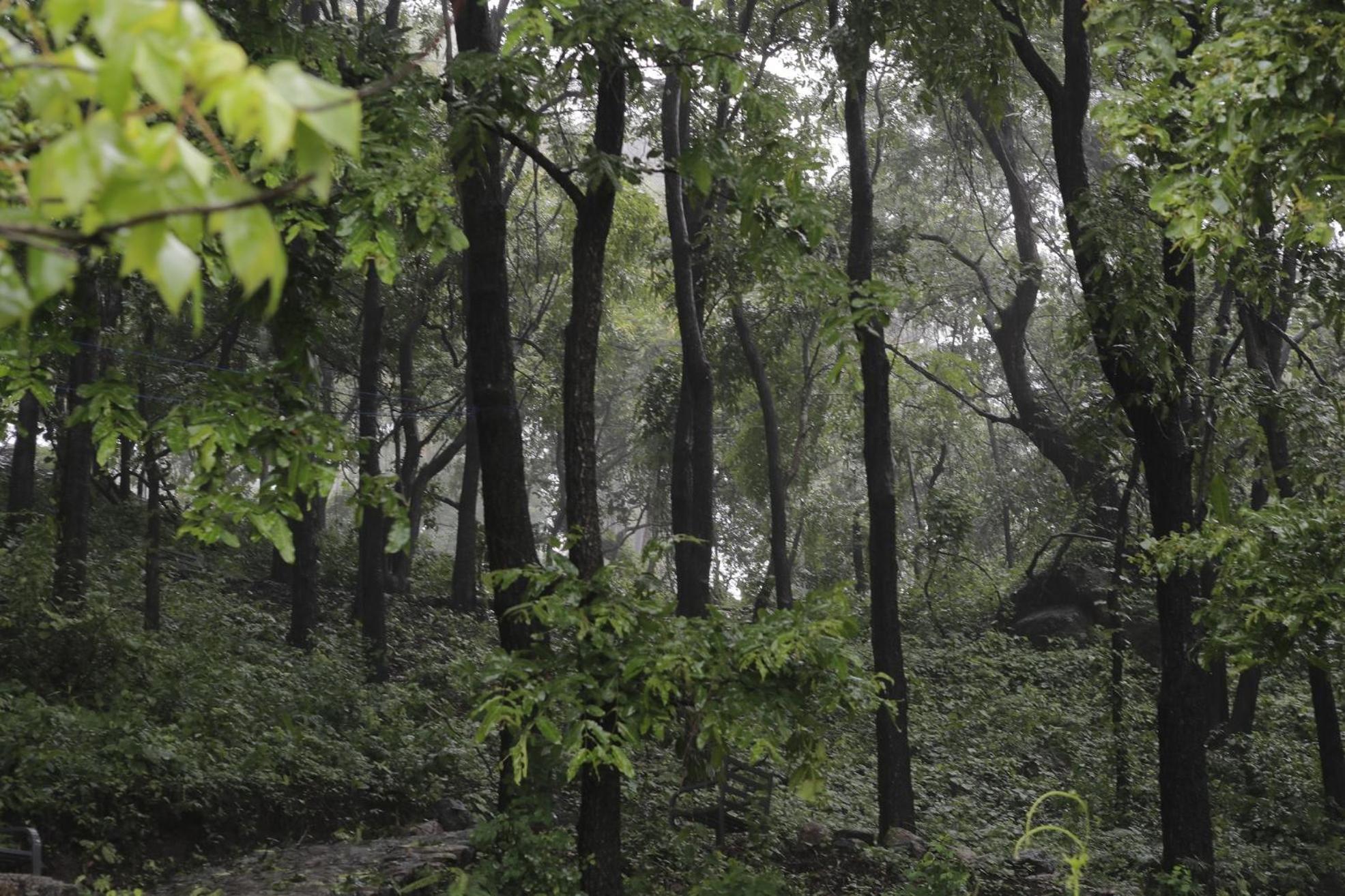 Misty Green Hills Parks & Resorts Kondotty Buitenkant foto