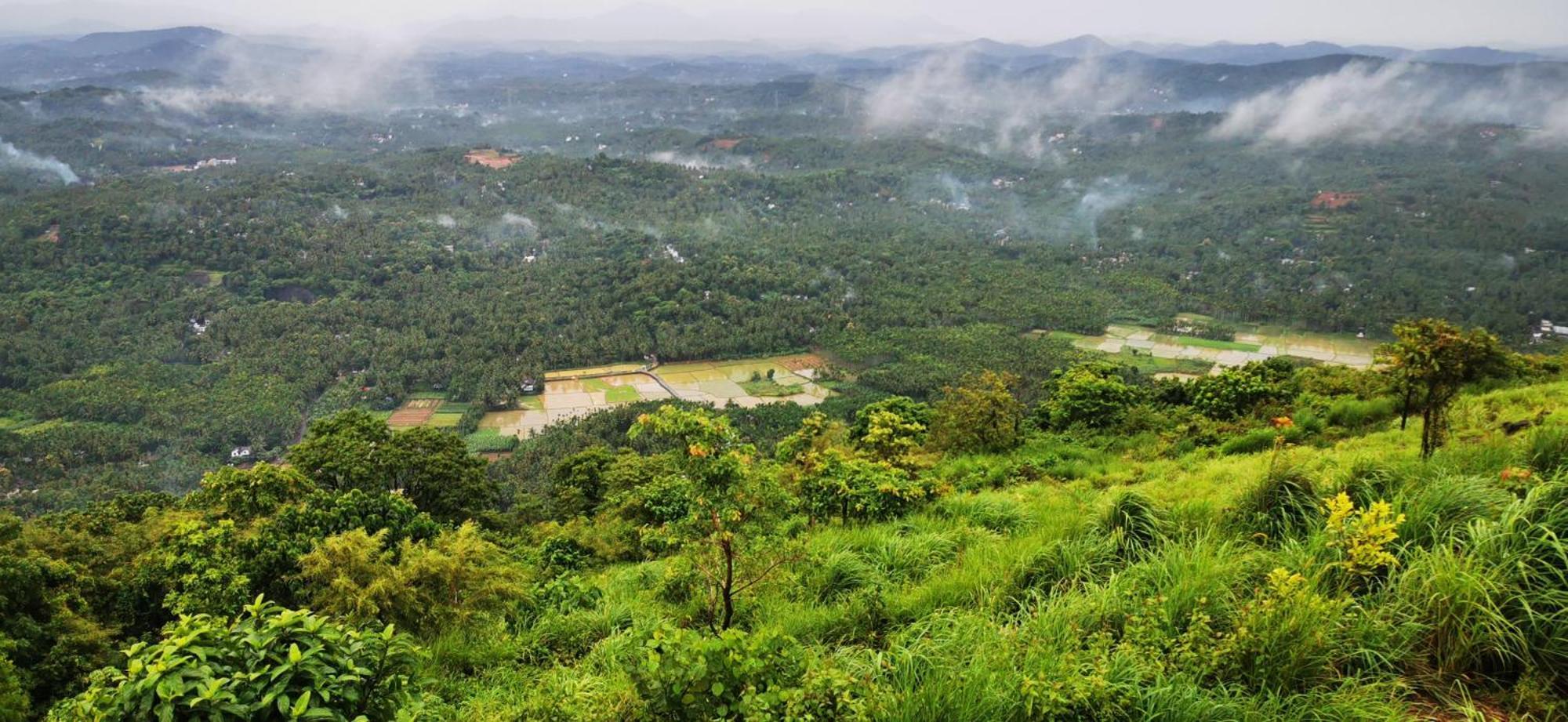 Misty Green Hills Parks & Resorts Kondotty Buitenkant foto