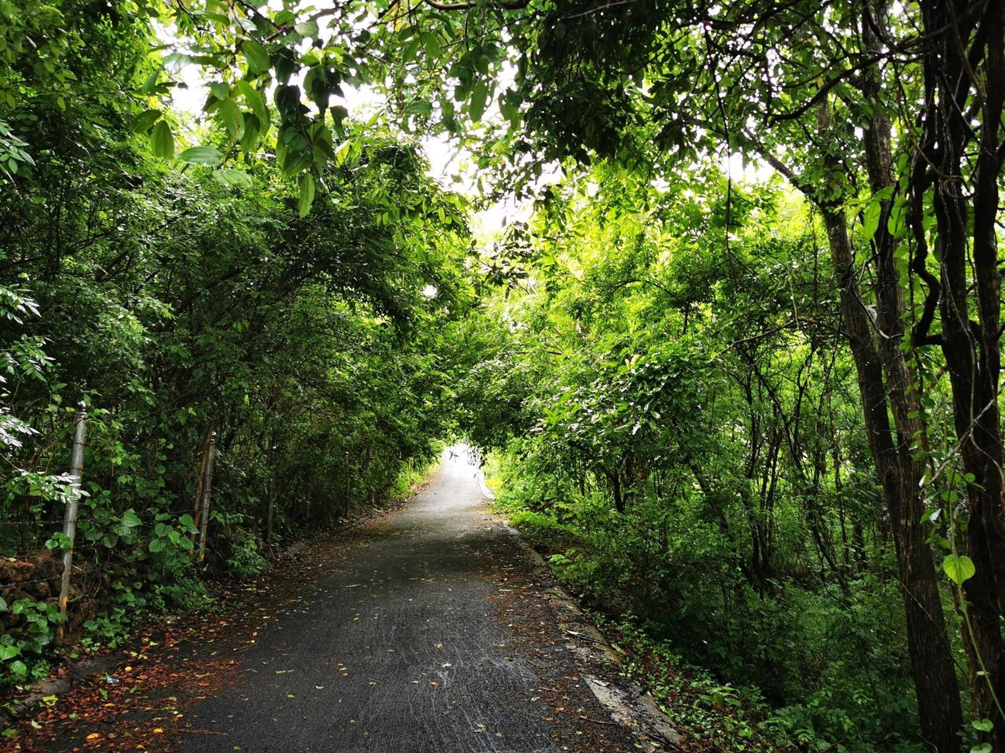 Misty Green Hills Parks & Resorts Kondotty Buitenkant foto
